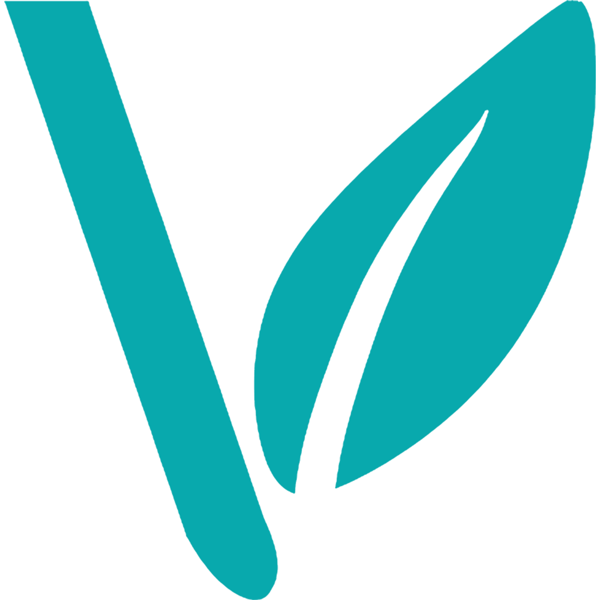 The Vine Church